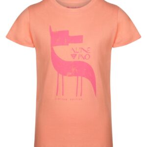 Camiseta manga corta niños NEJO 2 ALPINE PRO